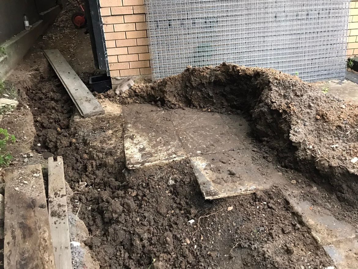 46 19-11-2021.jpg 46 19-11-2021.jpg