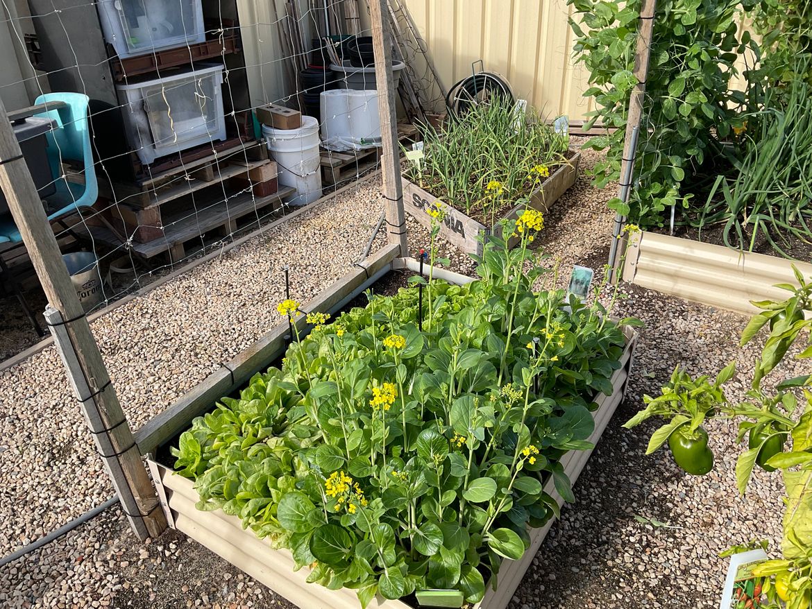 IMG_0788.jpeg IMG_0788.jpeg