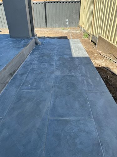 IMG_2795.jpeg IMG_2795.jpeg