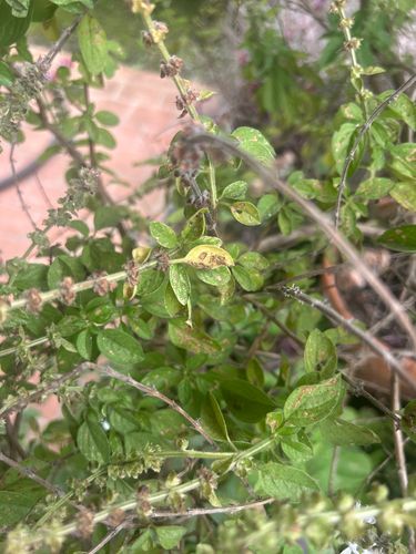 IMG_1192.jpeg IMG_1192.jpeg