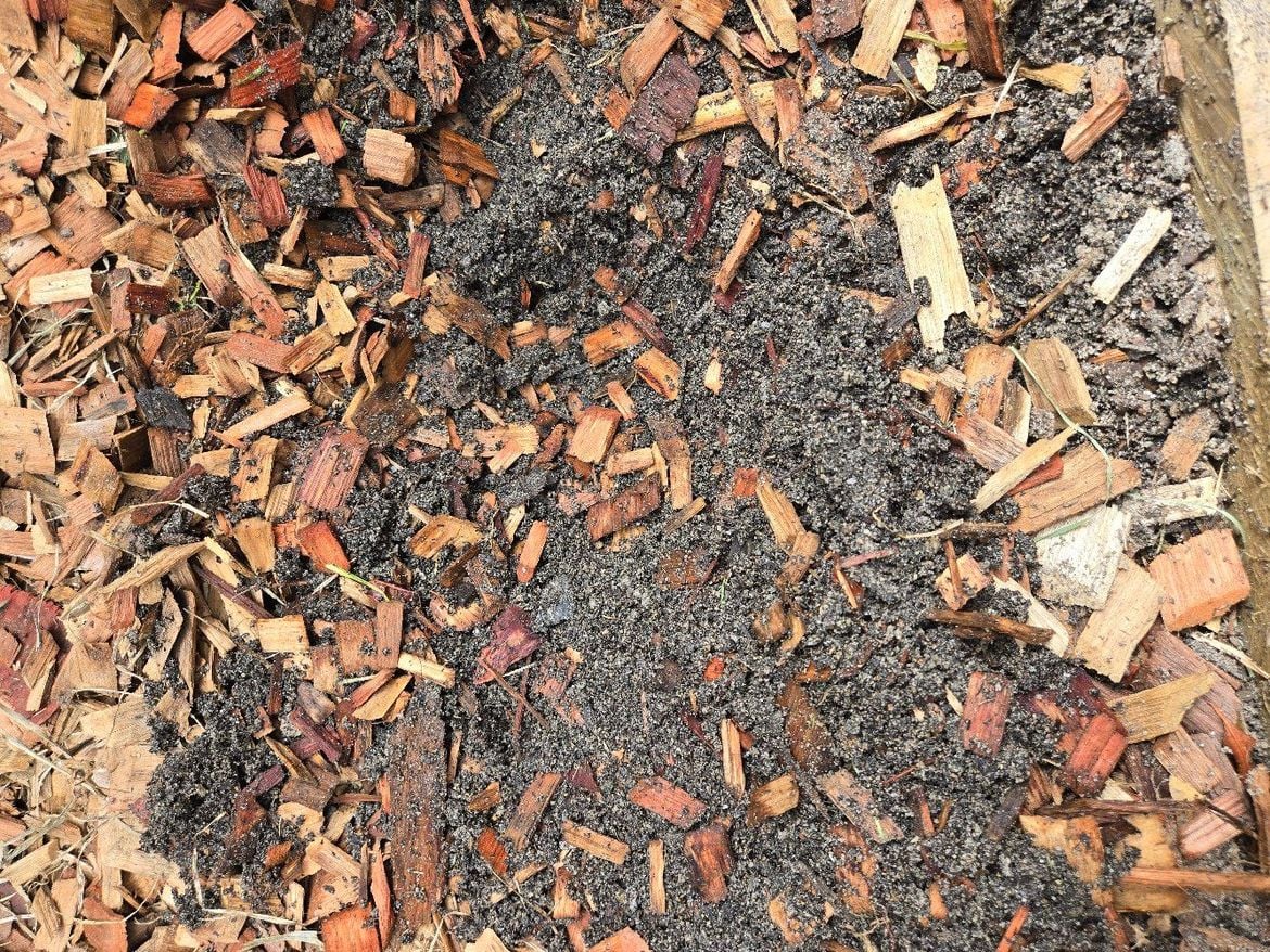 20241222_103615.jpg 20241222_103615.jpg