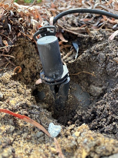 IMG_3897.jpg IMG_3897.jpg