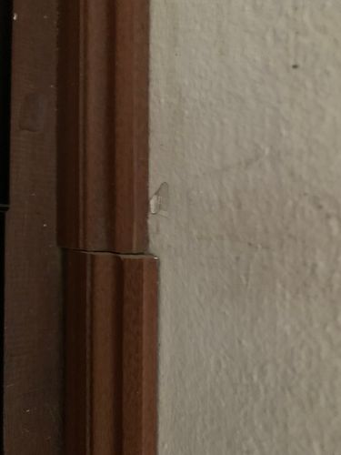 IMG_3988.jpeg IMG_3988.jpeg