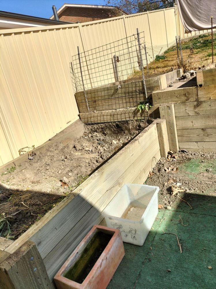 IMG20220627111533.jpg IMG20220627111533.jpg