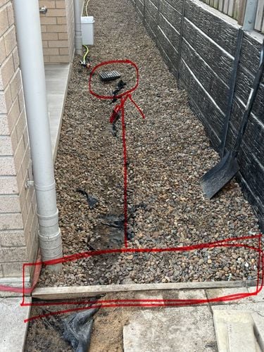 IMG_2781.jpeg IMG_2781.jpeg