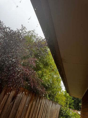 IMG_0619.jpeg IMG_0619.jpeg