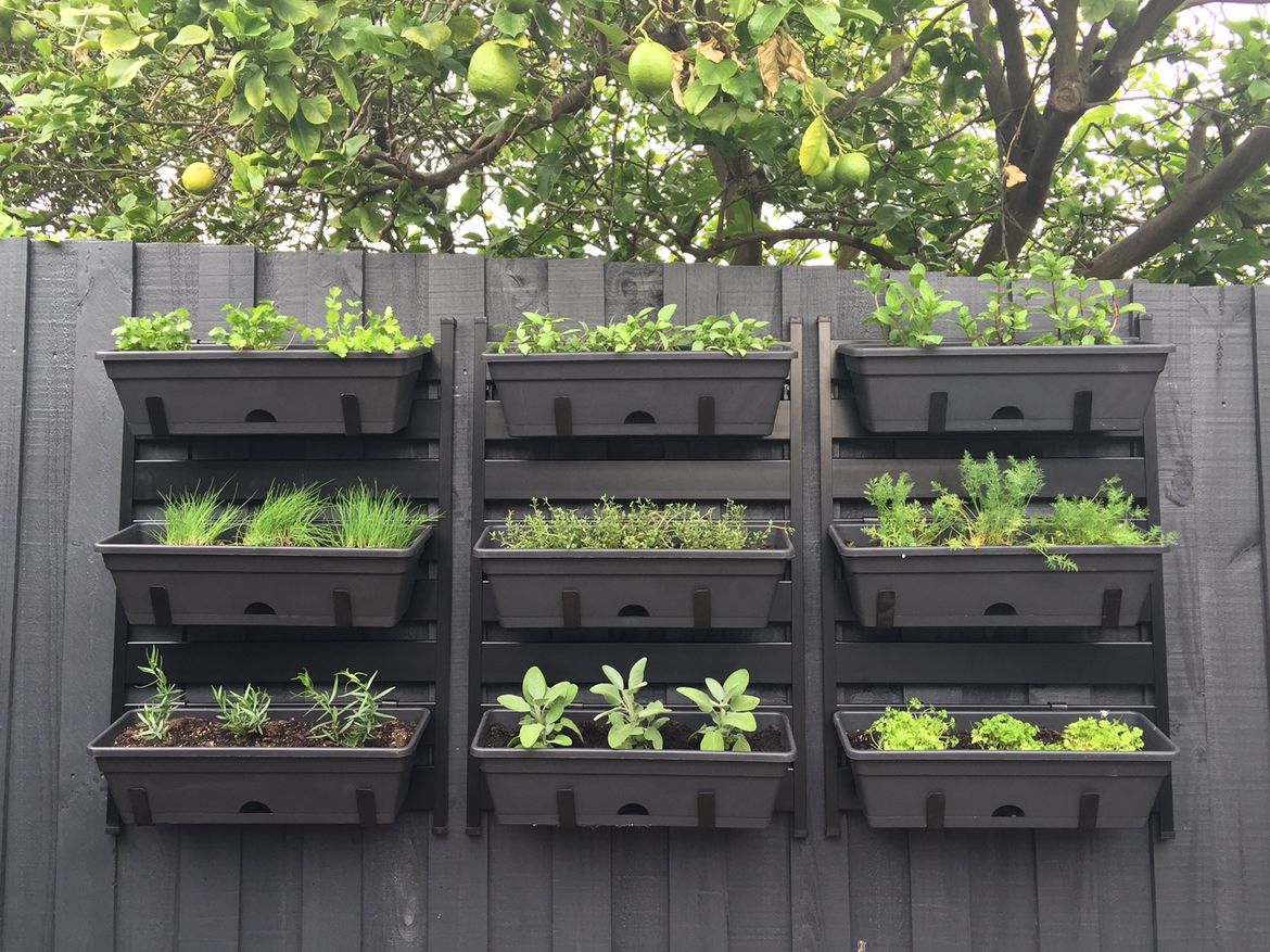 FullSizeRender.jpg FullSizeRender.jpg