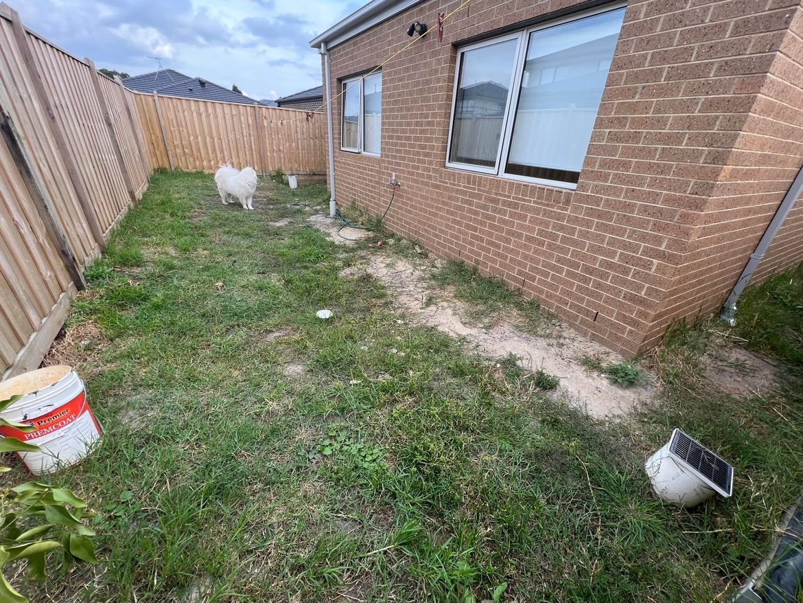 Before.jpg Before.jpg