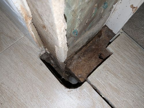 1000002315.jpg 1000002315.jpg