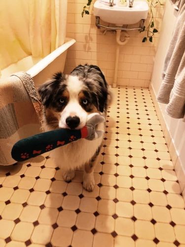 1D291690-D4EF-455D-9746-FD63DD35ED59.jpeg 1D291690-D4EF-455D-9746-FD63DD35ED59.jpeg