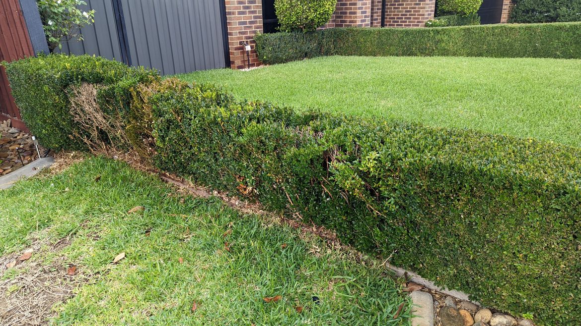 PXL_20220327_214623354.jpg PXL_20220327_214623354.jpg