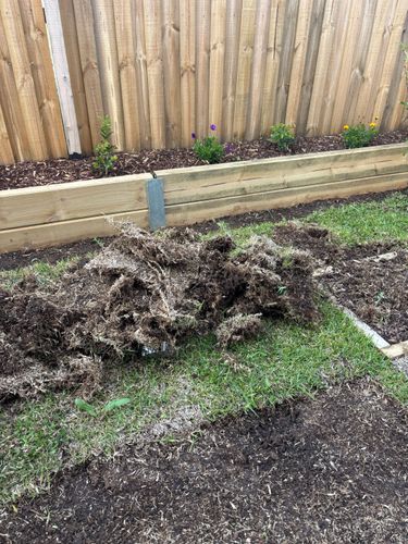 IMG_2104.jpeg IMG_2104.jpeg