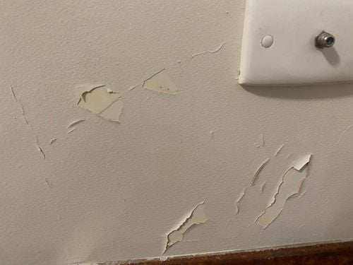 IMG_0970.jpeg IMG_0970.jpeg