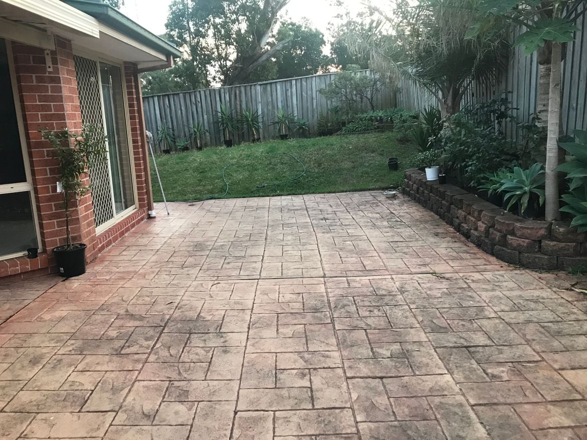 IMG-3100.jpg IMG-3100.jpg