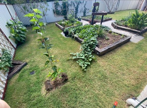 97B641F2-5A28-4D94-BC38-2D1874443D4E.jpeg 97B641F2-5A28-4D94-BC38-2D1874443D4E.jpeg