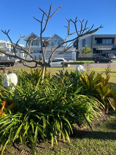 IMG_8815.jpeg IMG_8815.jpeg