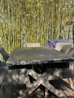 IMG_3452.jpeg IMG_3452.jpeg