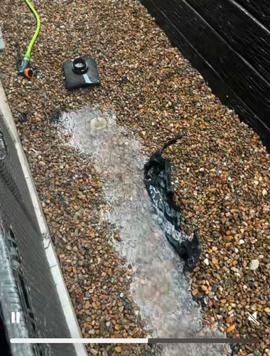 IMG_2790.jpeg IMG_2790.jpeg