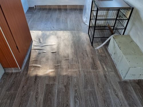 20241224_181052.jpg 20241224_181052.jpg