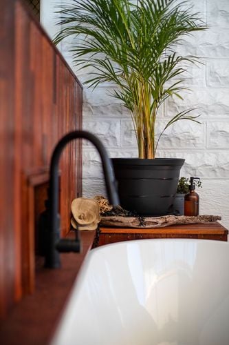 A0D79400-9651-4059-9A01-47EC28F40E41.jpeg A0D79400-9651-4059-9A01-47EC28F40E41.jpeg