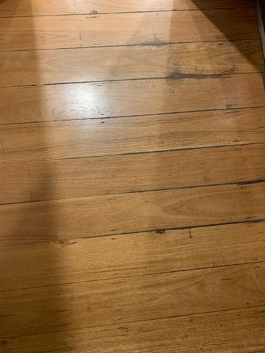 70855255-6031-4F5D-9BFD-B4C56B023FDE.jpeg 70855255-6031-4F5D-9BFD-B4C56B023FDE.jpeg