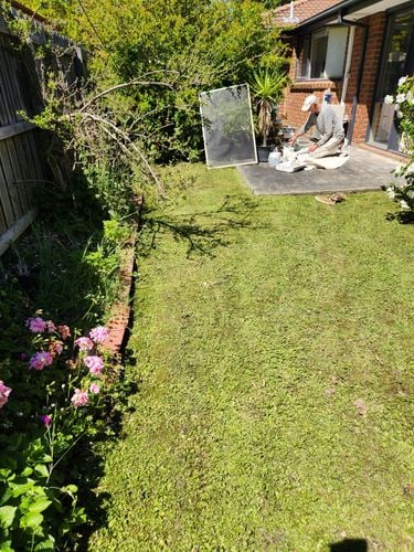 1000015690.jpg 1000015690.jpg