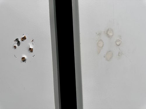 IMG_9754.jpeg IMG_9754.jpeg