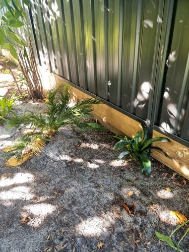 1000016728.jpg 1000016728.jpg