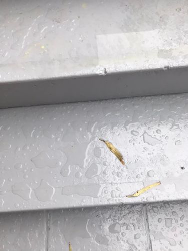 57 22-09-2023.jpg 57 22-09-2023.jpg