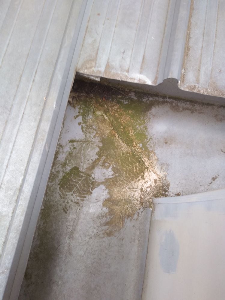 IMG_20220409_111016009.jpg IMG_20220409_111016009.jpg