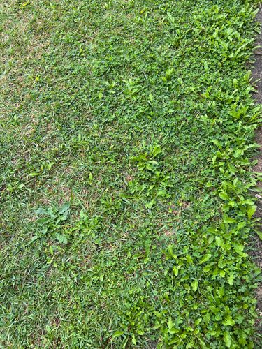 6ABEE604-10B3-48A5-B3B1-9697FEC17EC7.jpeg 6ABEE604-10B3-48A5-B3B1-9697FEC17EC7.jpeg