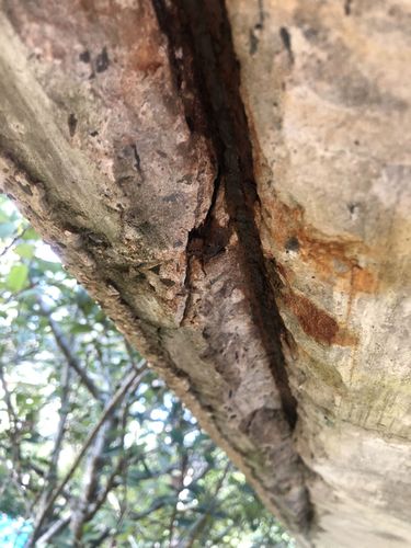 IMG_9584.jpg IMG_9584.jpg