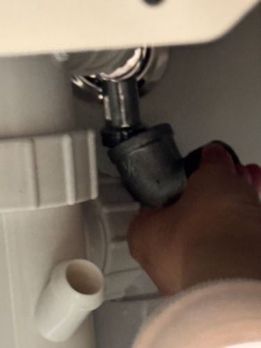 IMG_5988.jpeg IMG_5988.jpeg