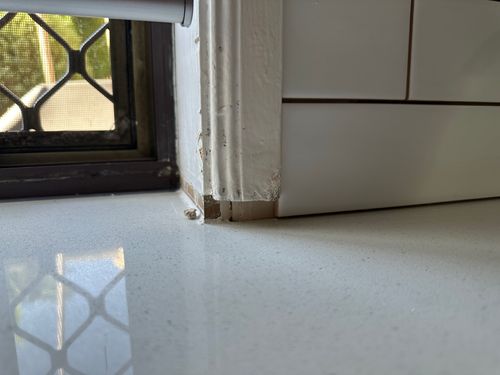 IMG_3915.jpeg IMG_3915.jpeg