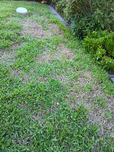 1000022419.jpg 1000022419.jpg