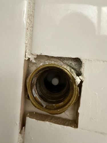 IMG_5528.jpeg IMG_5528.jpeg