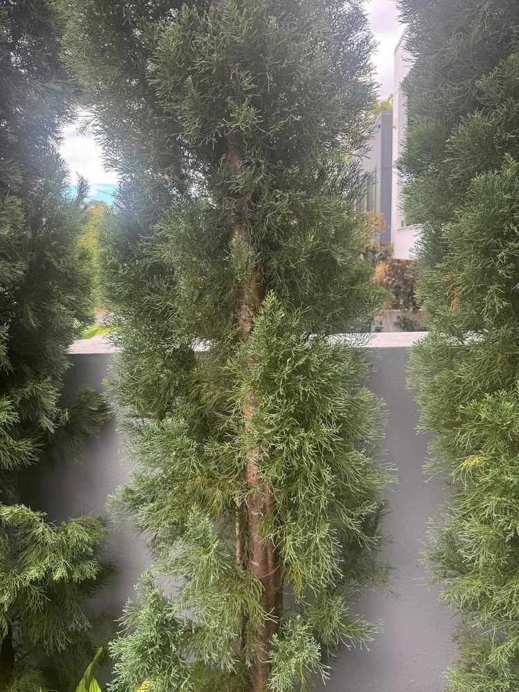 photo_6289356401398628885_y.jpg photo_6289356401398628885_y.jpg