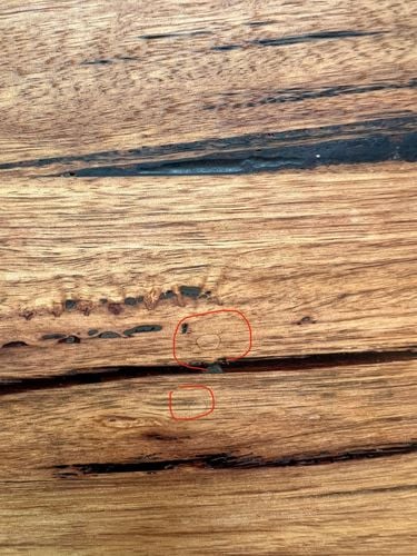 655E3090-4A17-427F-B02C-31B78C39343E.jpeg 655E3090-4A17-427F-B02C-31B78C39343E.jpeg