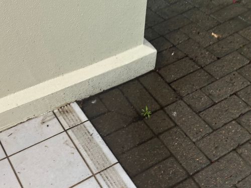 IMG_6465.jpeg IMG_6465.jpeg