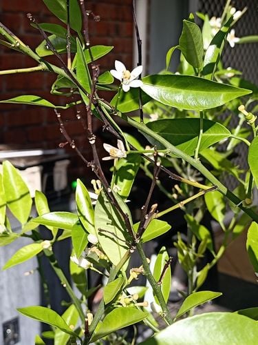 IMG20230924151139.jpg IMG20230924151139.jpg