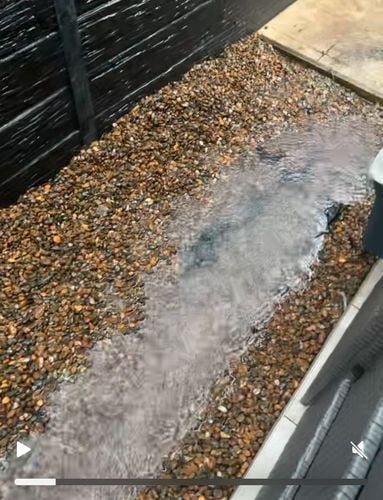 IMG_2792.jpeg IMG_2792.jpeg