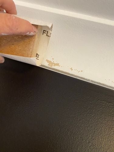 IMG_1323.jpeg IMG_1323.jpeg