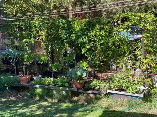 49487B69-31A5-4FAB-8C07-ACA99AB82FE8.jpeg 49487B69-31A5-4FAB-8C07-ACA99AB82FE8.jpeg