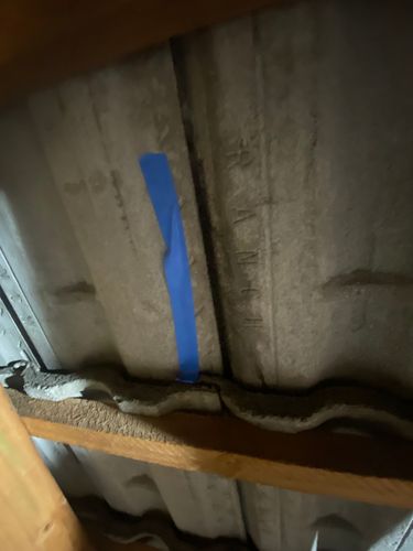 IMG_3983.jpeg IMG_3983.jpeg