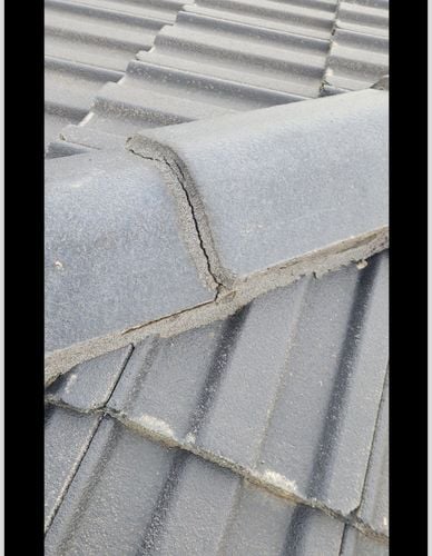 IMG_5398.jpeg IMG_5398.jpeg