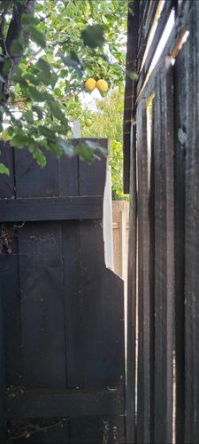 Messenger_creation_7350e114-f66f-4b2c-99ed-954ba4db9ea9.jpeg Messenger_creation_7350e114-f66f-4b2c-99ed-954ba4db9ea9.jpeg