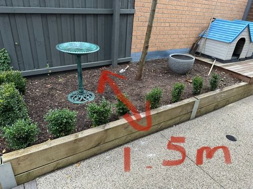 1039D1B0-C0F9-4343-9766-EAEDF0535DC1.jpeg 1039D1B0-C0F9-4343-9766-EAEDF0535DC1.jpeg