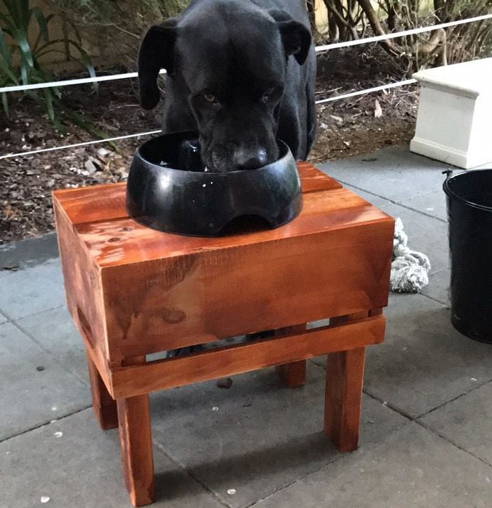 Dog food stand.jpeg Dog food stand.jpeg