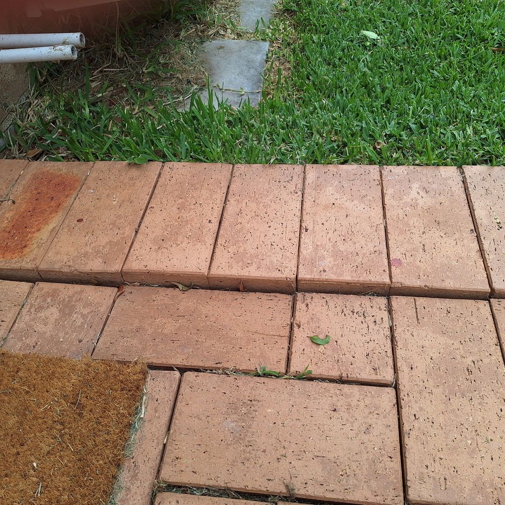 20241111_140958.jpg 20241111_140958.jpg