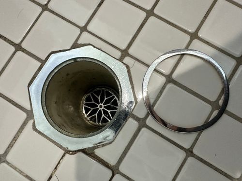 IMG_4358.jpeg IMG_4358.jpeg